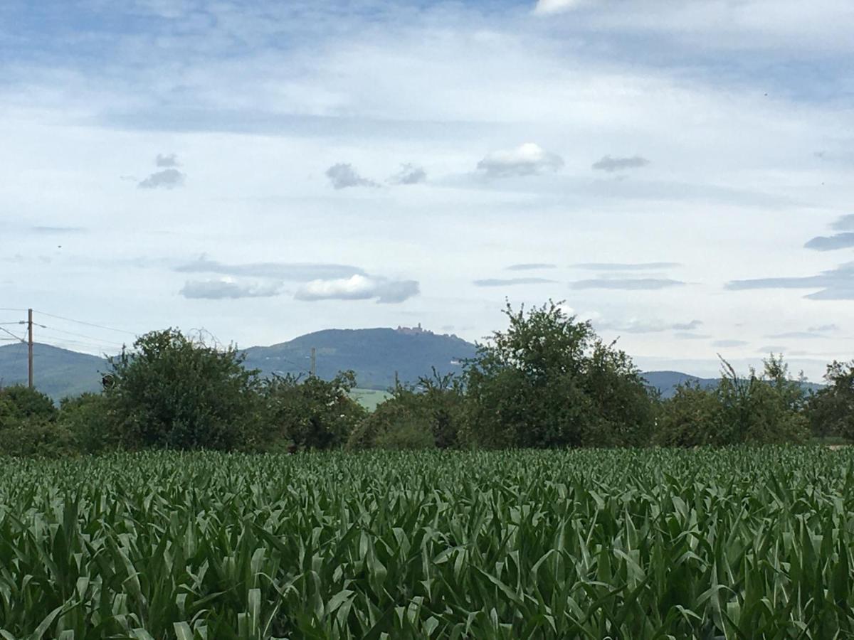 Gite D'Alsace L'Escale Ostheim Εξωτερικό φωτογραφία